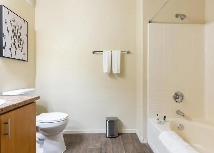 Apartment Landing Modern With Amazing Amenities Avondale